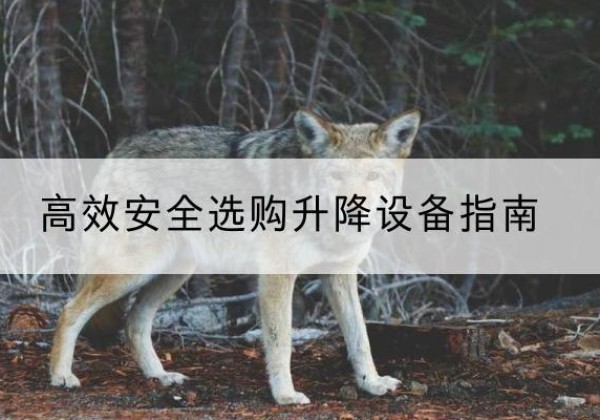肃南升降货梯厂家推荐-*安全选购升降设备指南