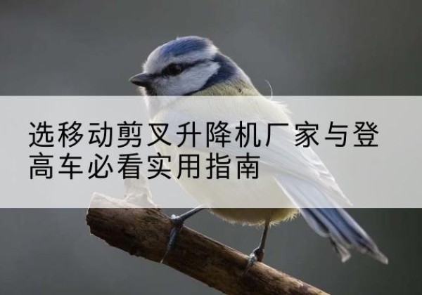 肃南电动升降机厂家-选移动剪叉升降机厂家与登高车必看实用指南