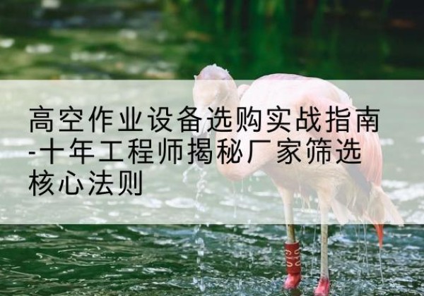肃南剪叉式升降机厂家-高空作业设备选购实战指南-十年工程师揭秘厂家筛选核心法则